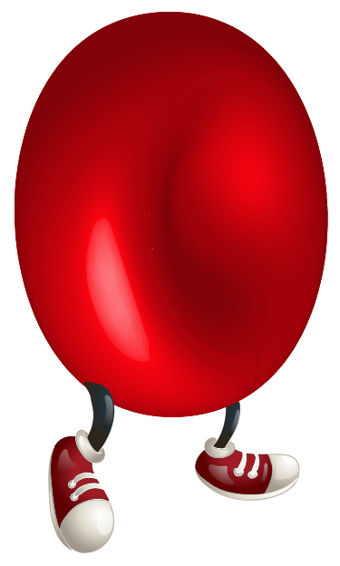 Detail Red Blood Cells Png Nomer 43