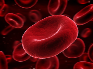 Detail Red Blood Cells Png Nomer 46