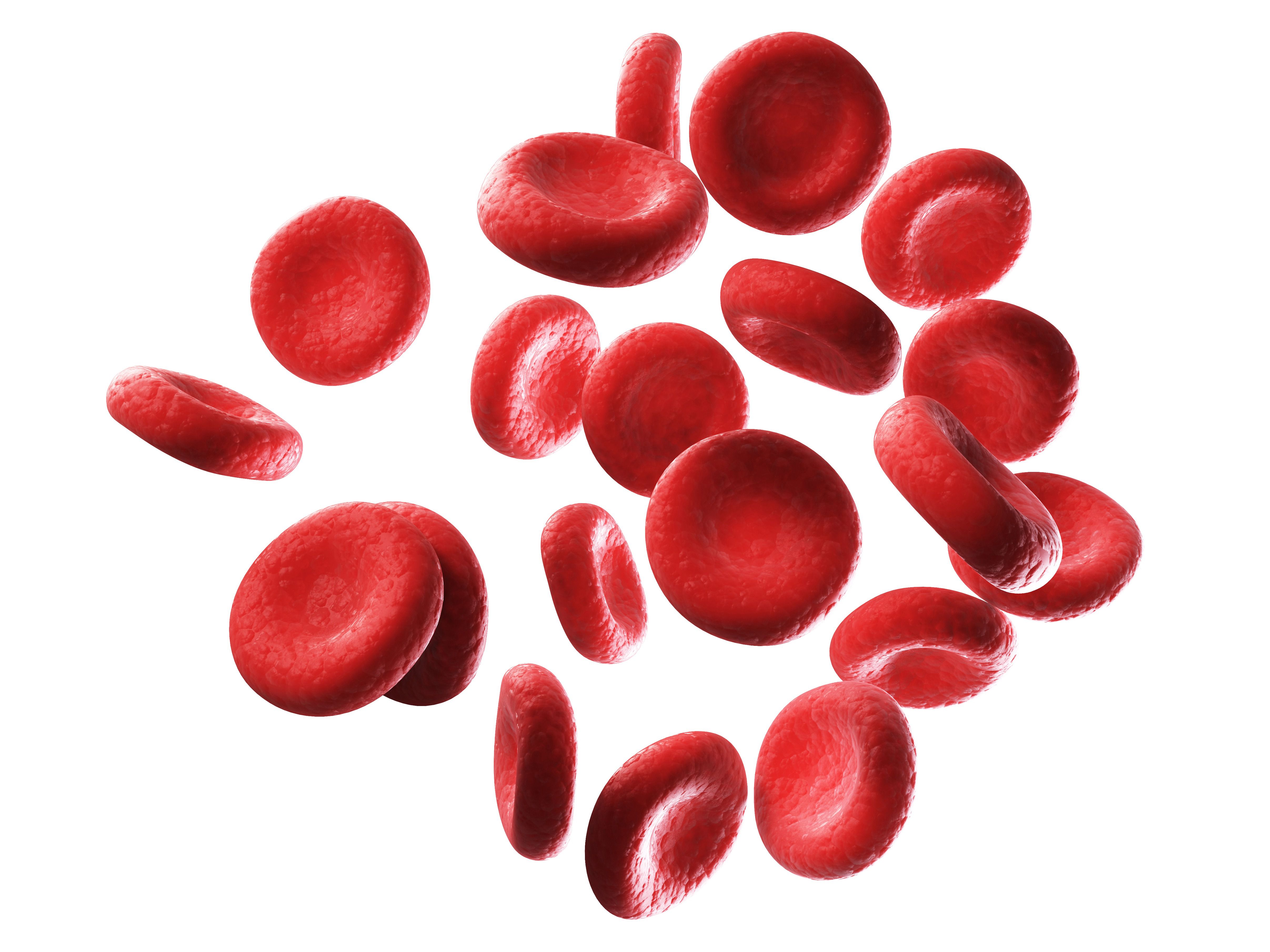 Detail Red Blood Cells Png Nomer 6