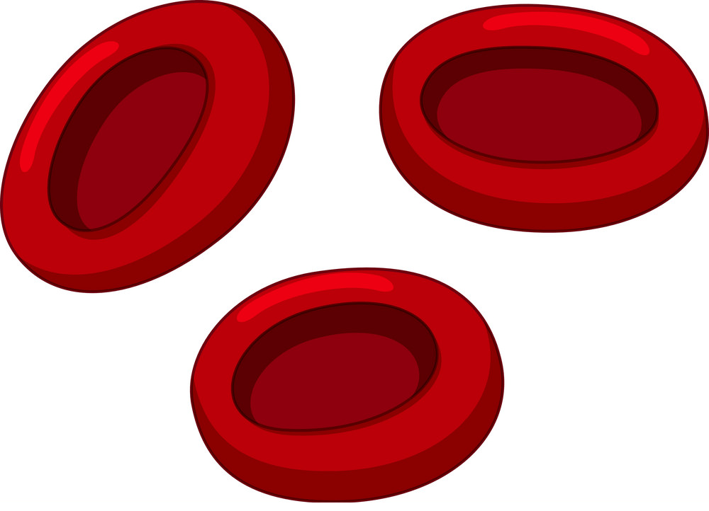 Detail Red Blood Cells Png Nomer 7