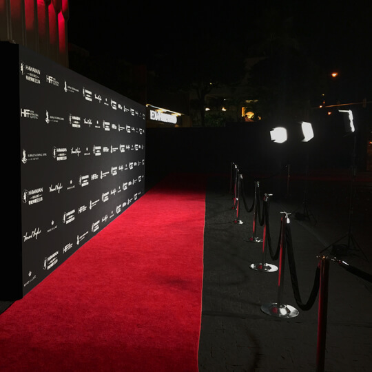 Detail Red Carpet Background Images Nomer 17