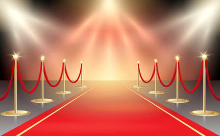 Detail Red Carpet Image Nomer 19