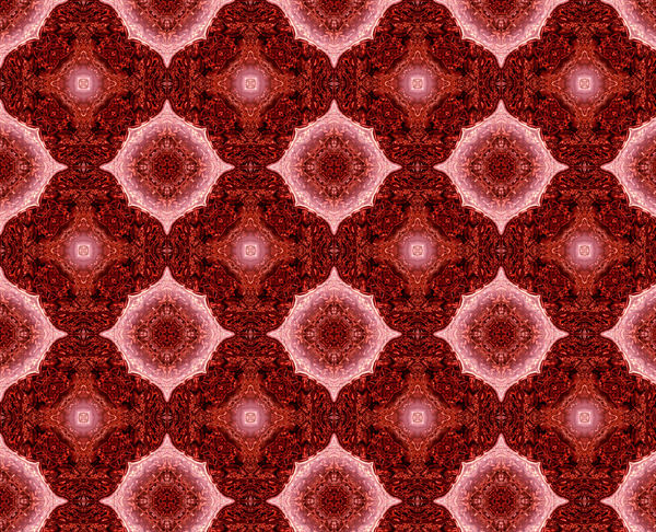 Detail Red Carpet Pattern Nomer 11