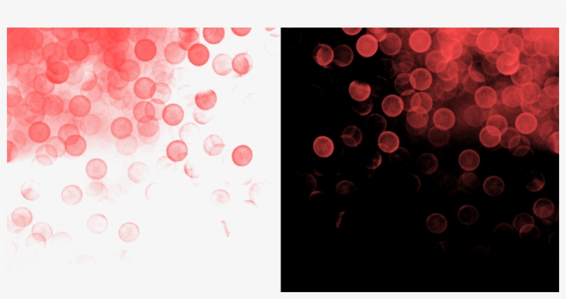 Detail Red Color Light Png Nomer 44