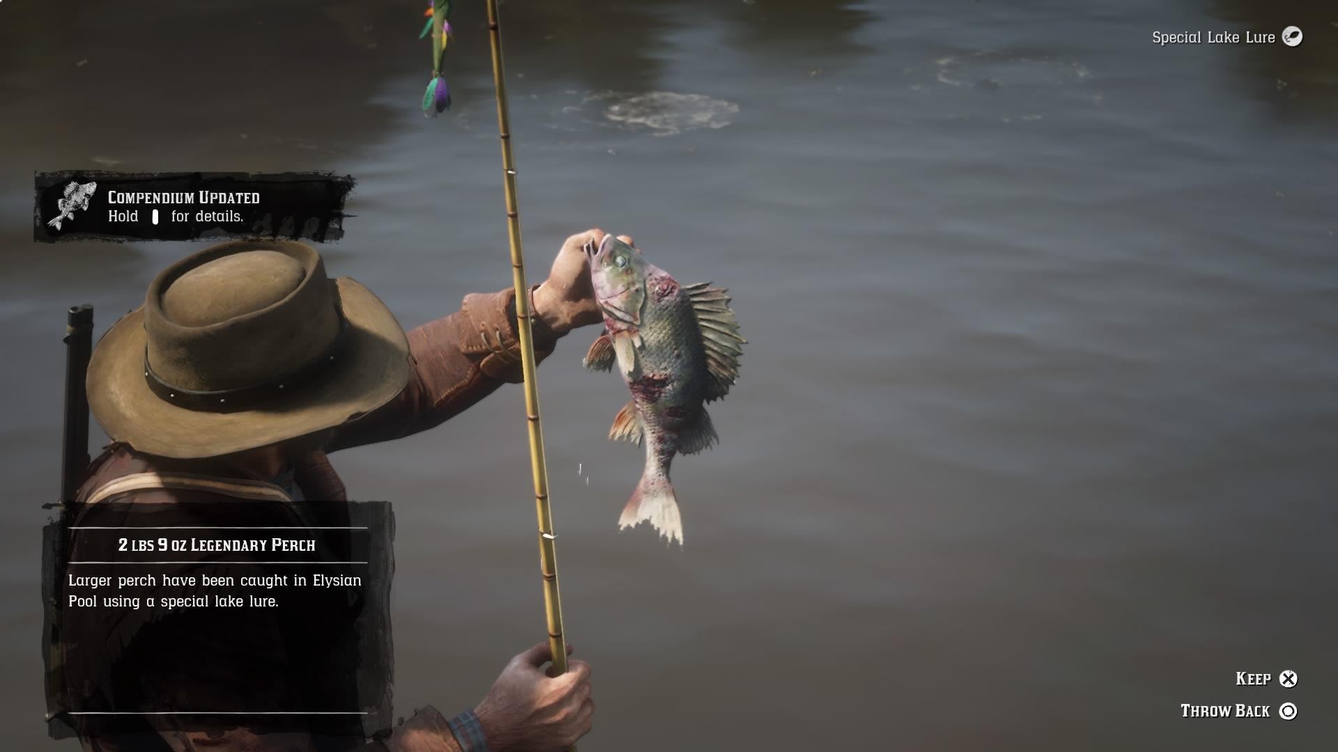 Detail Red Dead 2 Fishing Pole Nomer 17