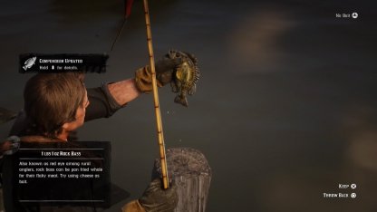 Detail Red Dead 2 Fishing Pole Nomer 47