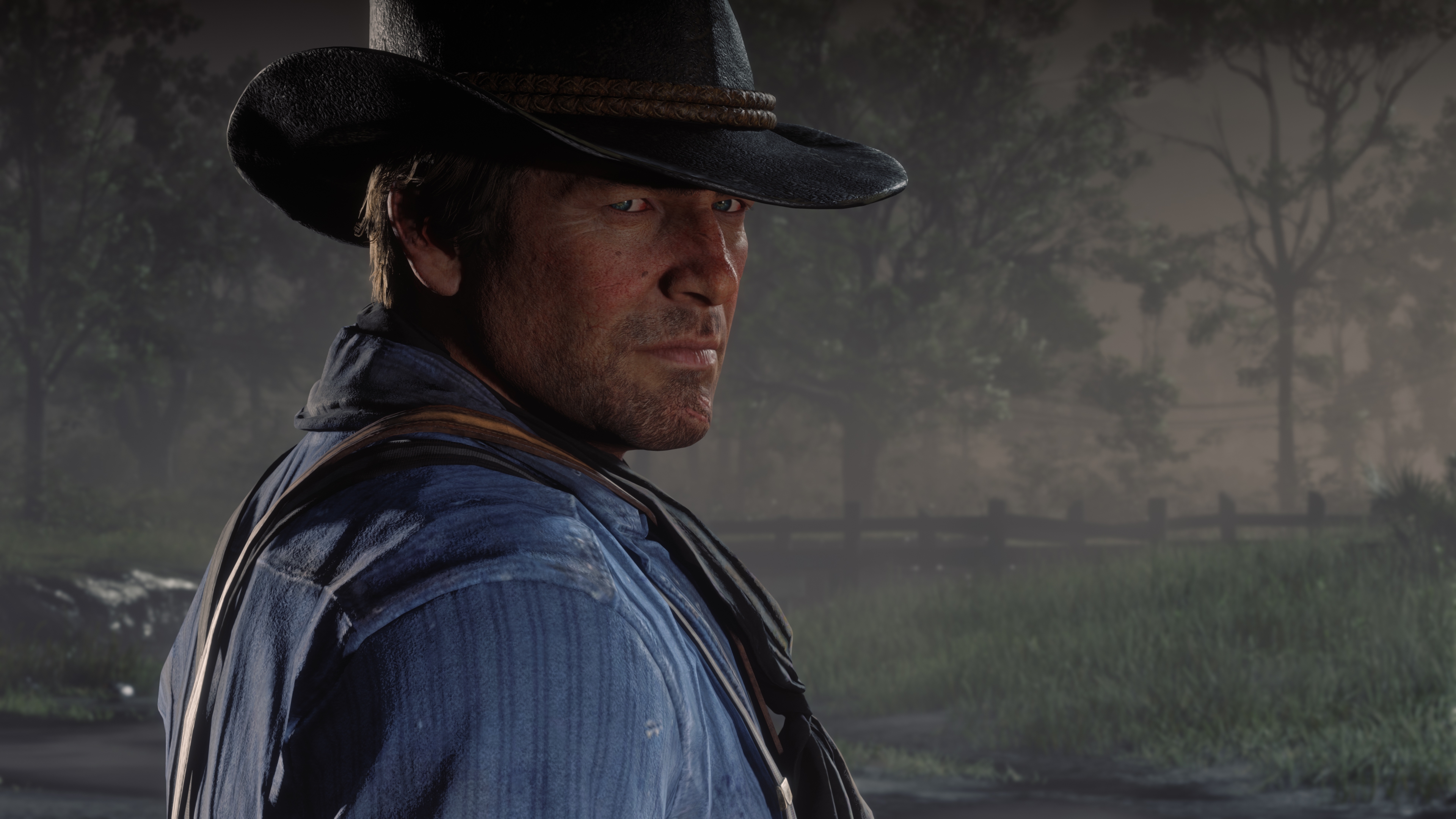 Detail Red Dead 2 Images Nomer 27