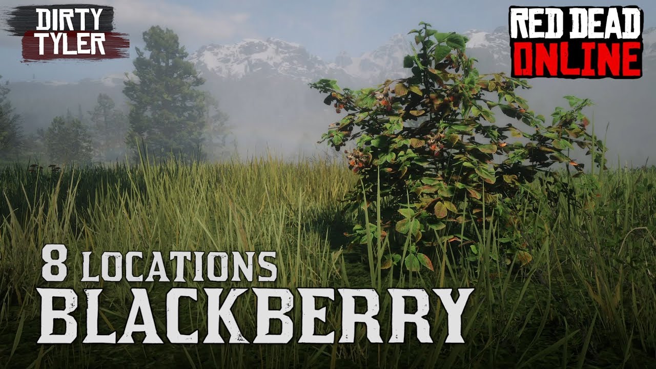 Detail Red Dead Redemption 2 Blackberry Location Nomer 18