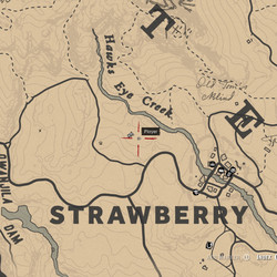 Detail Red Dead Redemption 2 Blackberry Location Nomer 41