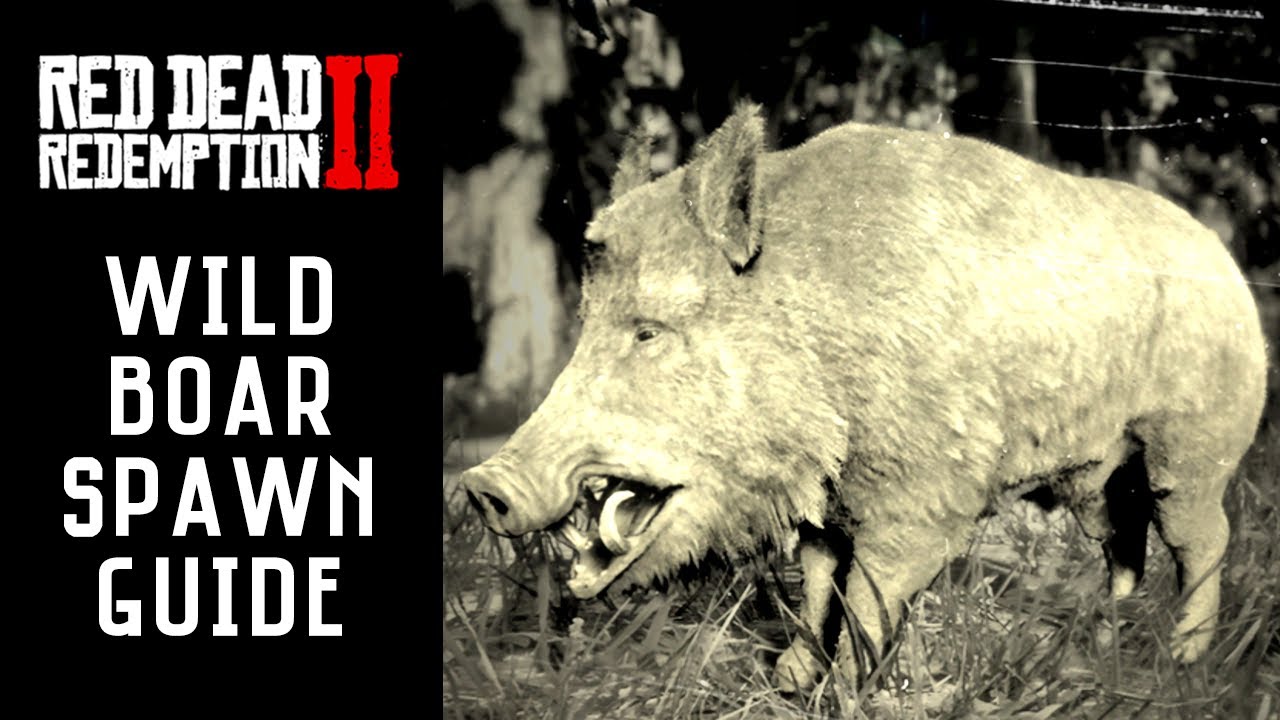 Detail Red Dead Redemption 2 Boar Nomer 20