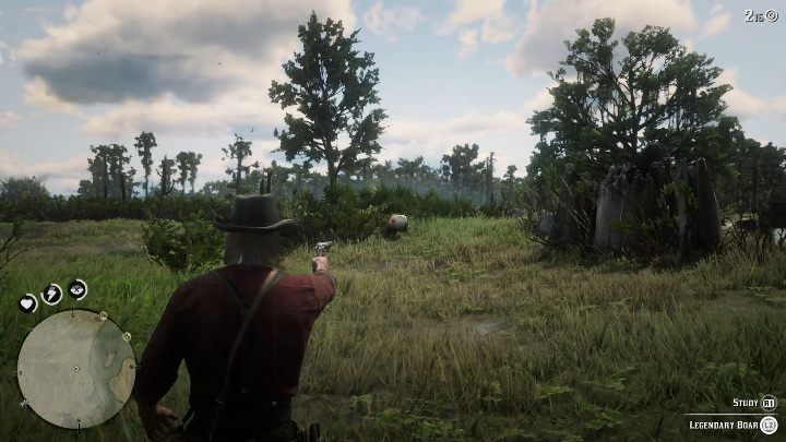 Detail Red Dead Redemption 2 Boar Nomer 34