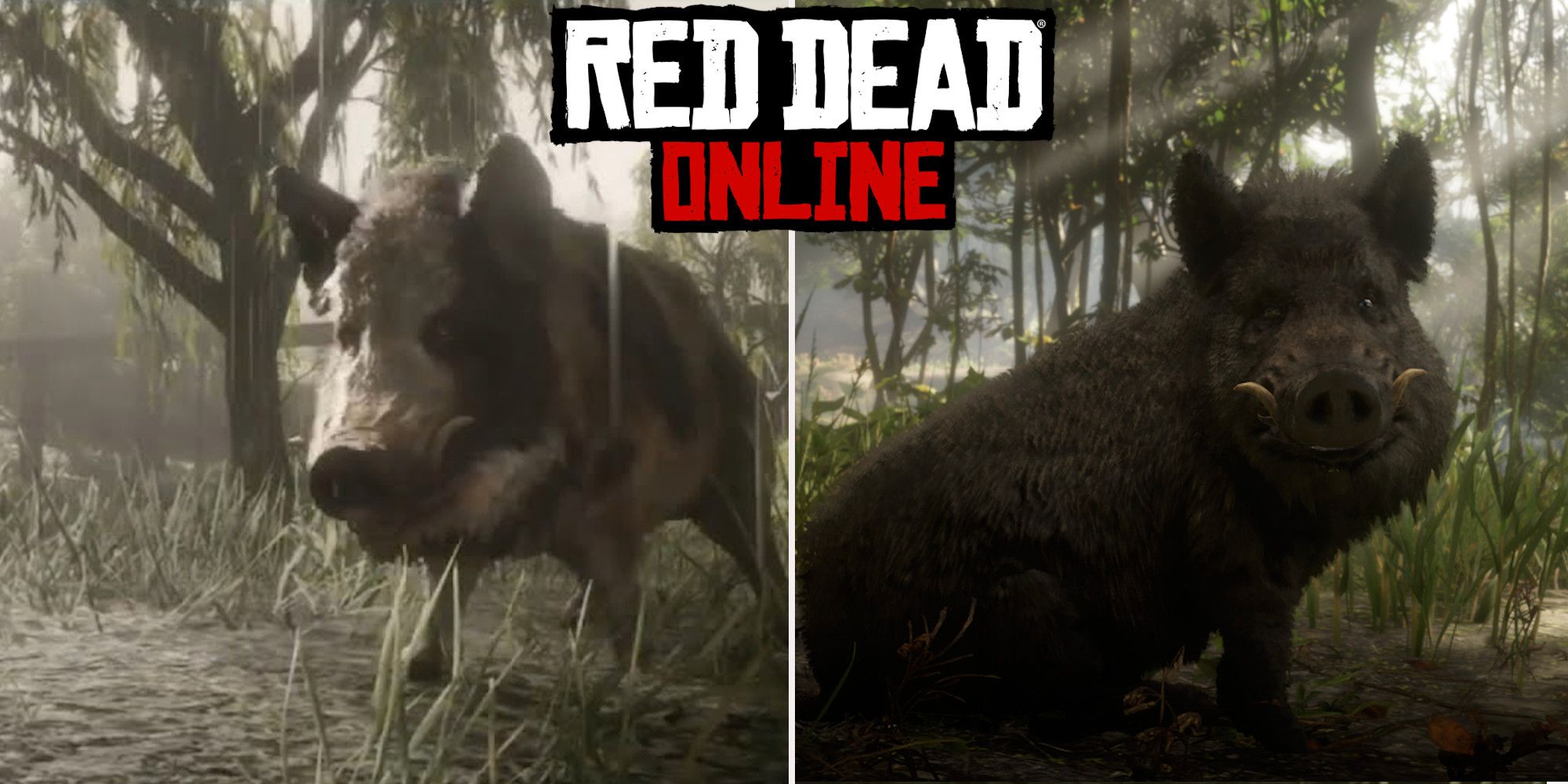 Detail Red Dead Redemption 2 Boar Nomer 5