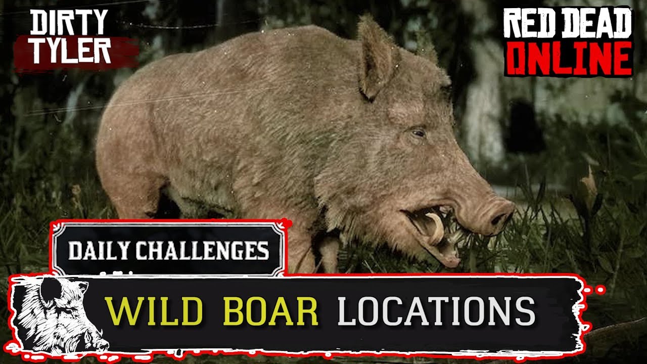 Detail Red Dead Redemption 2 Boar Nomer 8