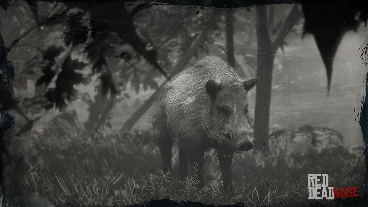 Detail Red Dead Redemption 2 Boar Nomer 10