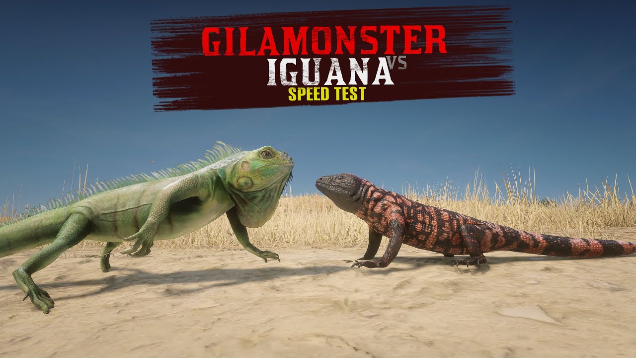 Detail Red Dead Redemption 2 Iguana Nomer 17