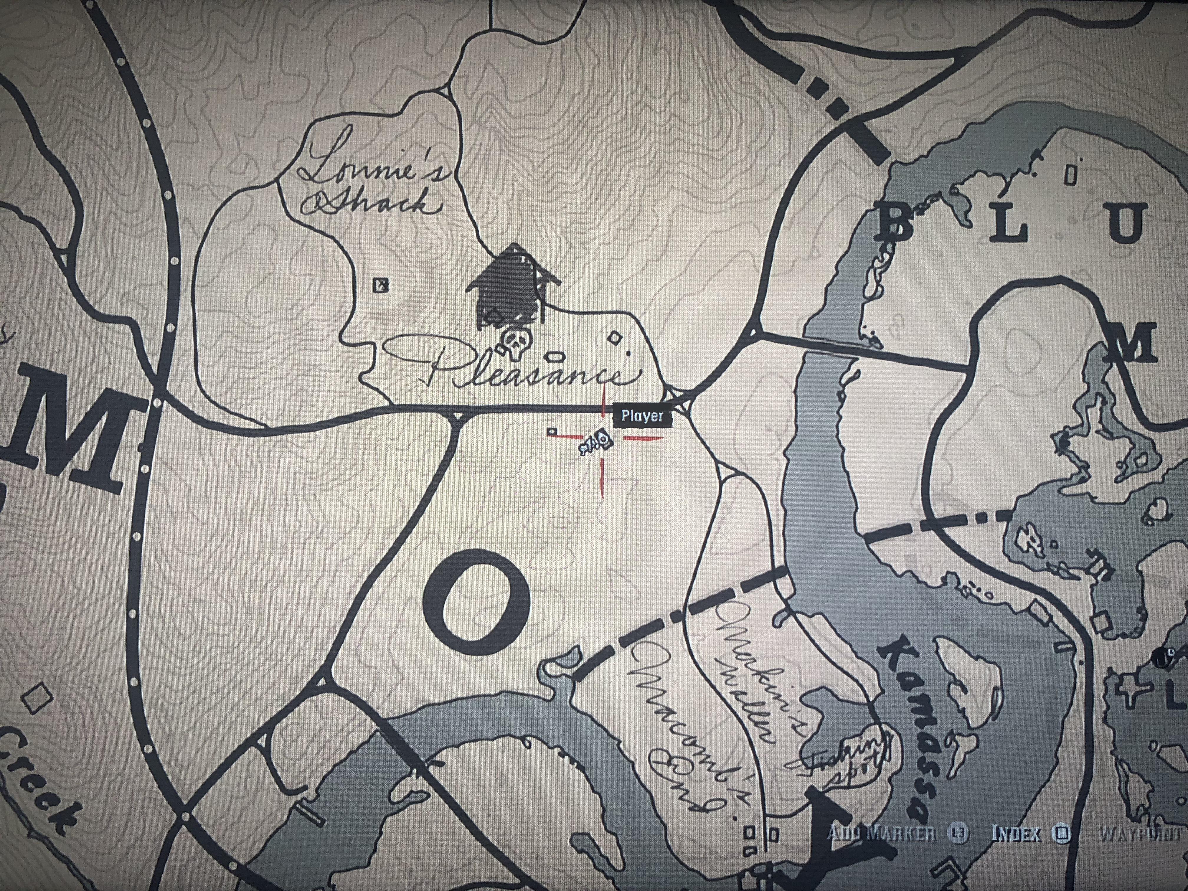 Detail Red Dead Redemption 2 Iguana Nomer 56