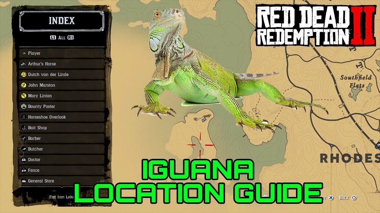 Detail Red Dead Redemption 2 Iguana Location Nomer 14