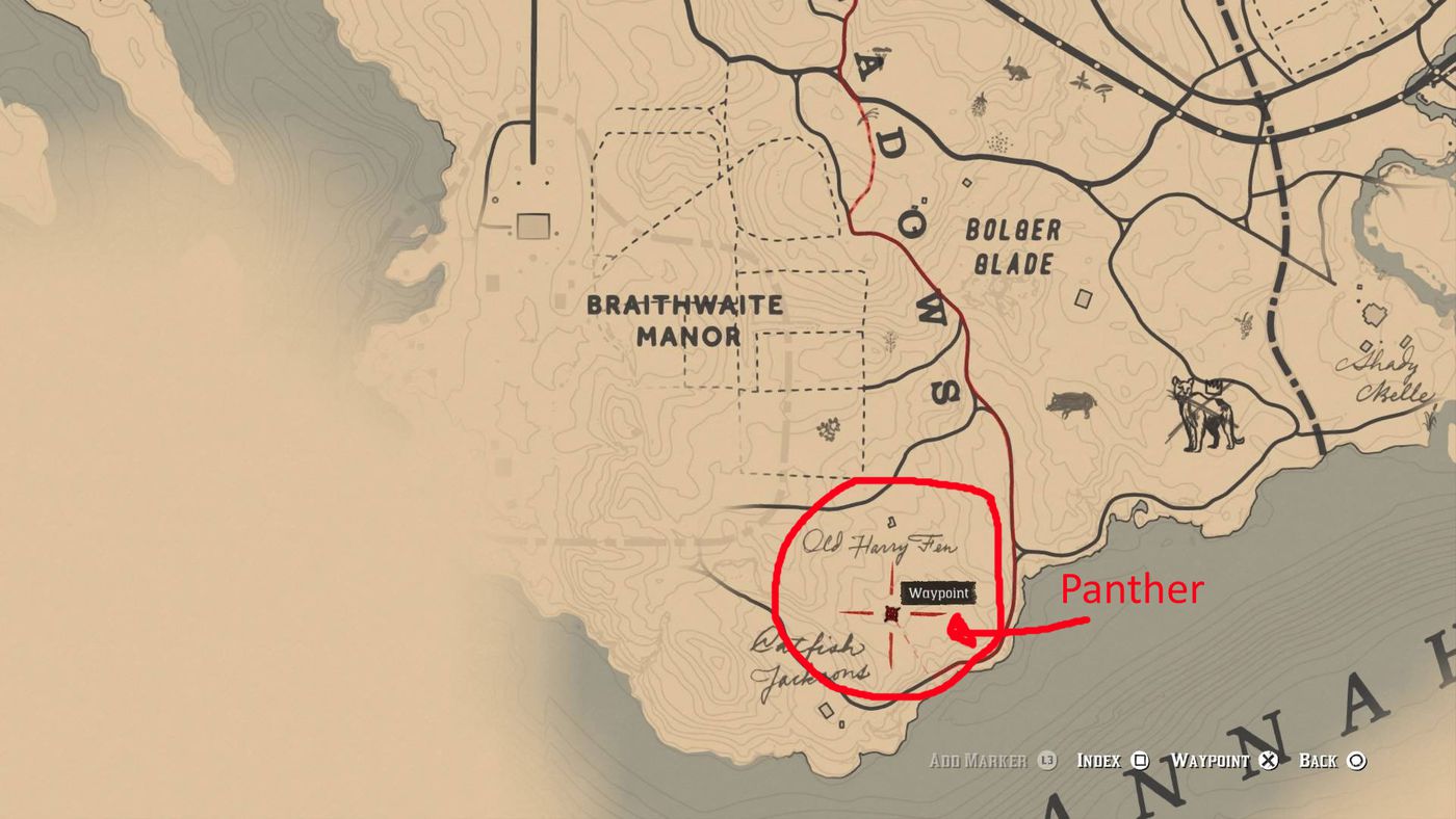 Detail Red Dead Redemption 2 Iguana Location Nomer 15