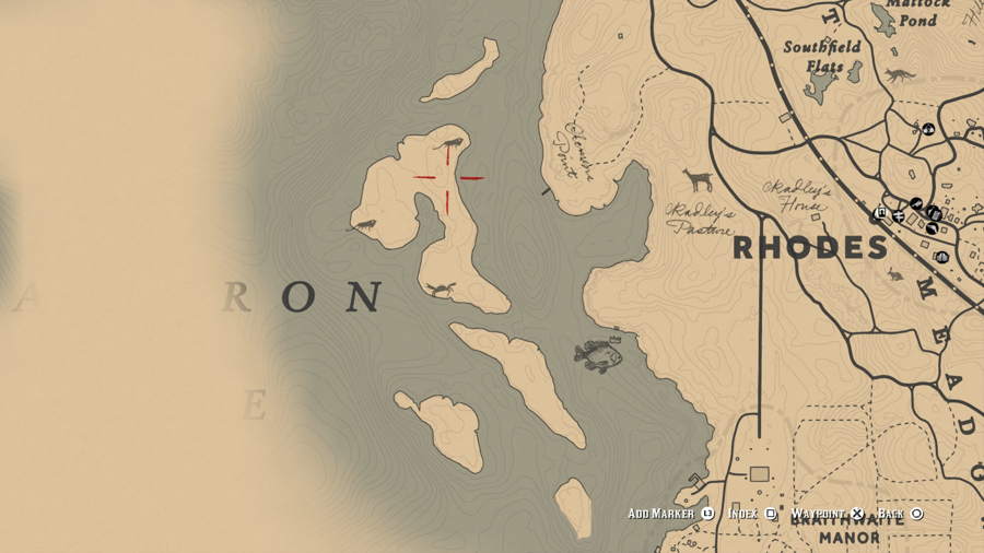 Detail Red Dead Redemption 2 Iguana Location Nomer 22