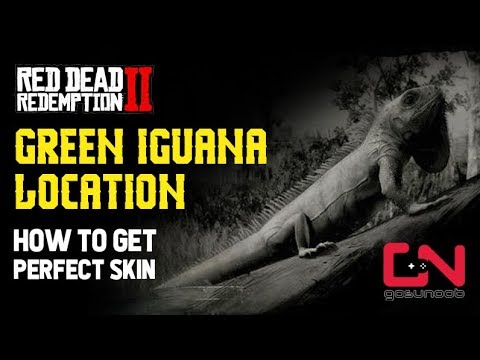 Detail Red Dead Redemption 2 Iguana Location Nomer 24