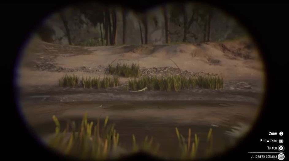 Detail Red Dead Redemption 2 Iguana Location Nomer 29