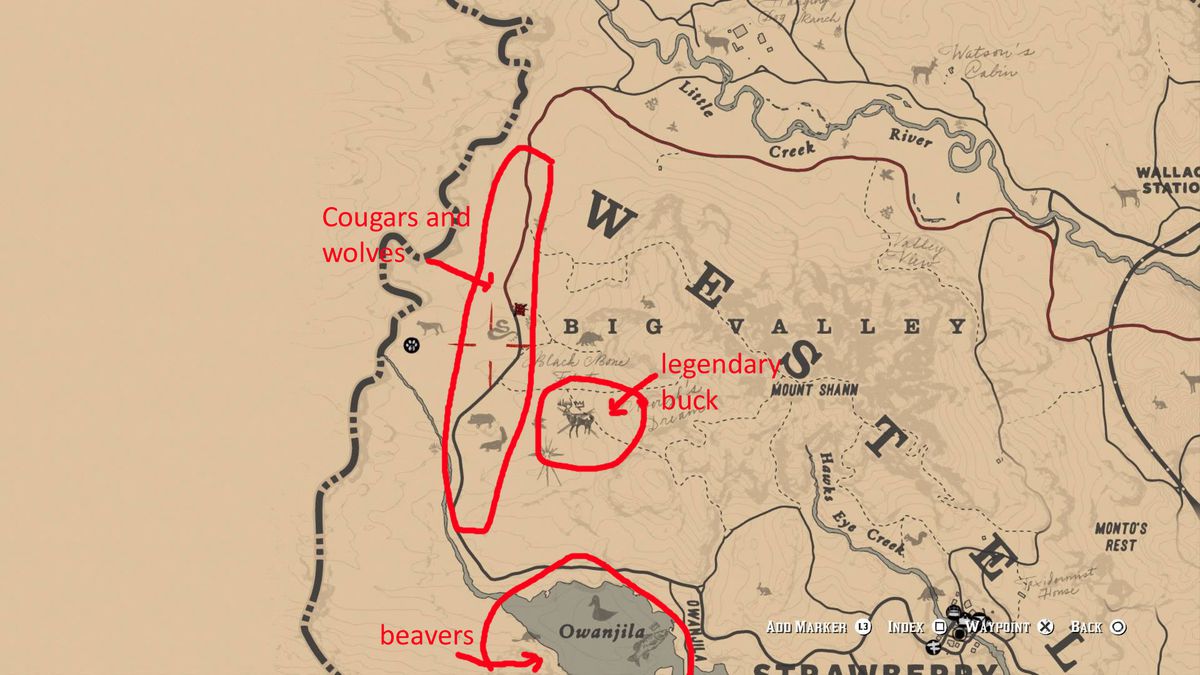 Detail Red Dead Redemption 2 Iguana Locations Nomer 35