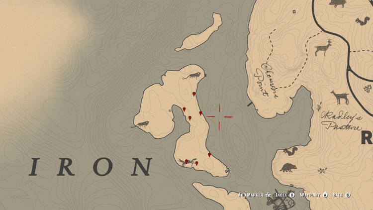 Detail Red Dead Redemption 2 Iguana Locations Nomer 48