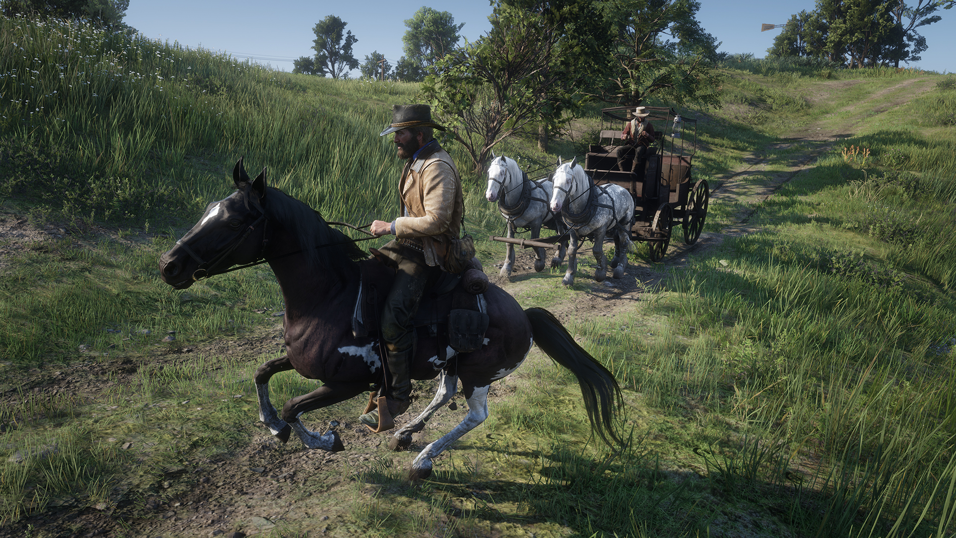 Detail Red Dead Redemption 2 Images Nomer 53