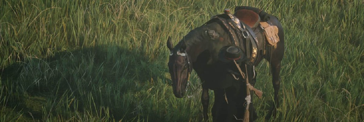 Detail Red Dead Redemption 2 Online Horse Brush Nomer 14