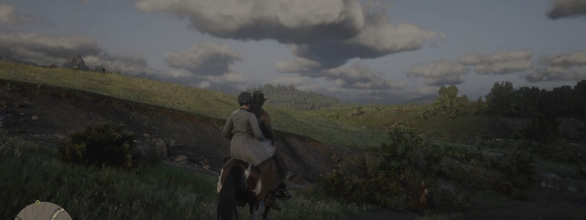 Detail Red Dead Redemption 2 Online Horse Brush Nomer 15
