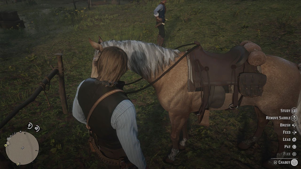 Detail Red Dead Redemption 2 Online Horse Brush Nomer 25