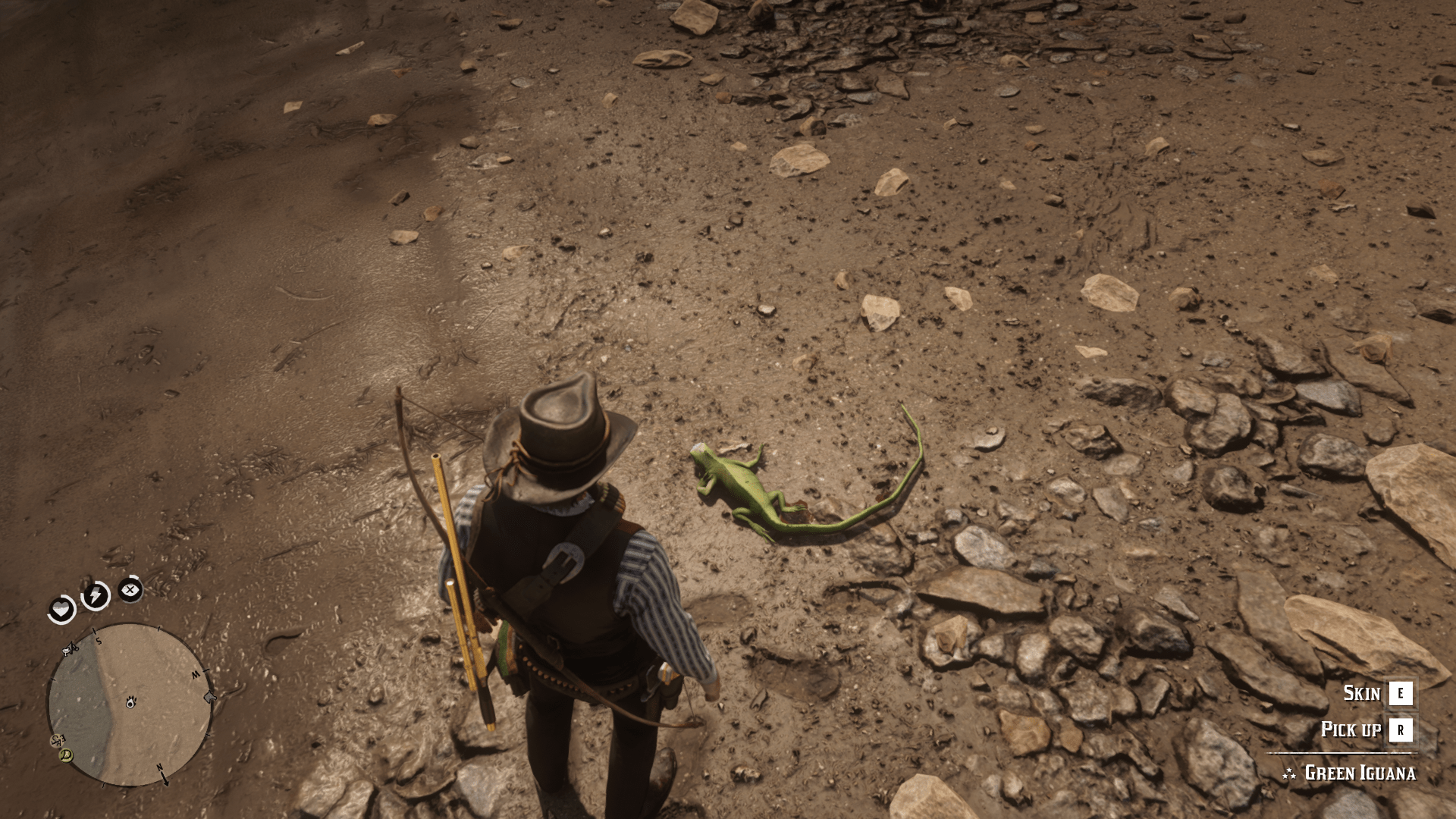 Detail Red Dead Redemption 2 Perfect Iguana Skin Nomer 29