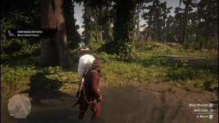 Detail Red Dead Redemption 2 Pigeon Nomer 11