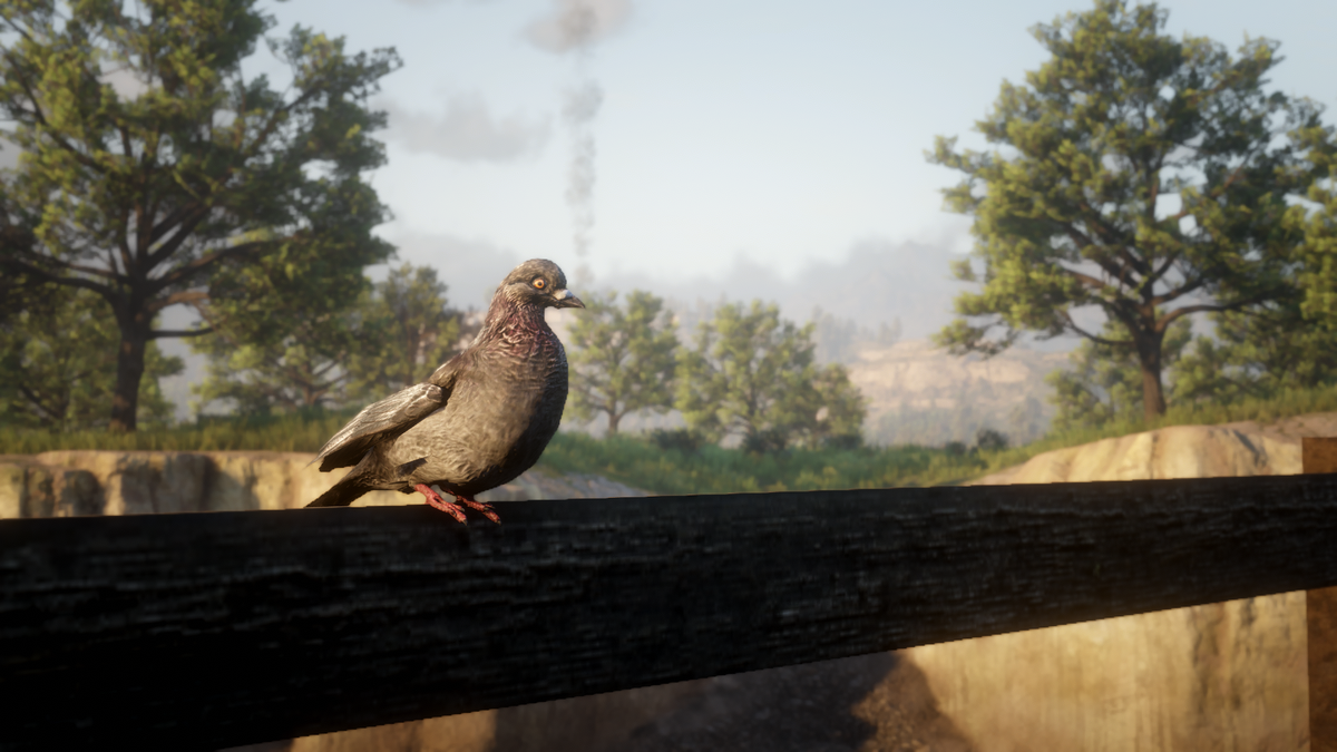 Detail Red Dead Redemption 2 Pigeon Nomer 17