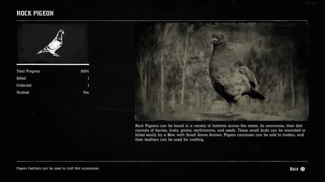 Detail Red Dead Redemption 2 Pigeon Nomer 30