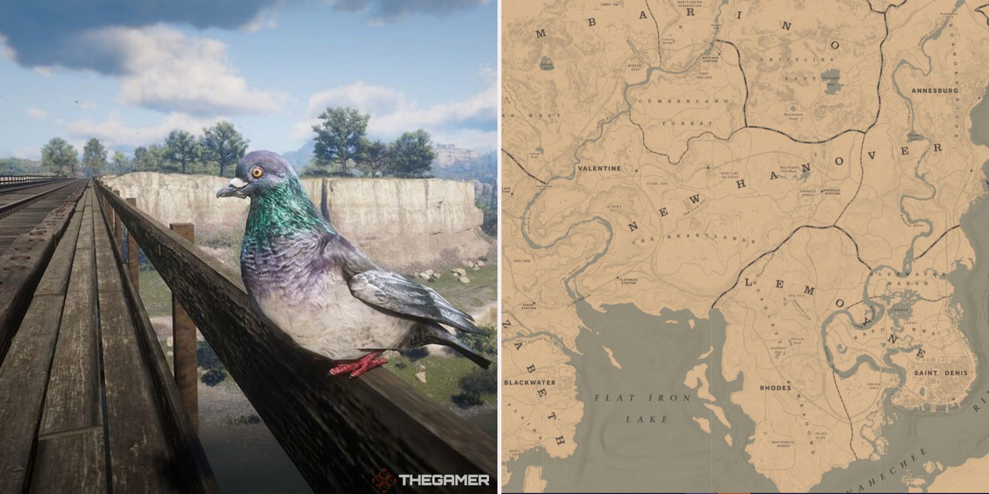 Detail Red Dead Redemption 2 Pigeon Nomer 6