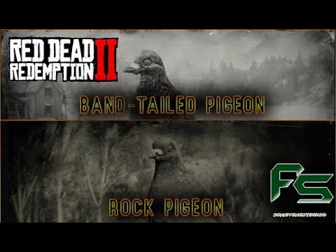 Detail Red Dead Redemption 2 Pigeon Nomer 8