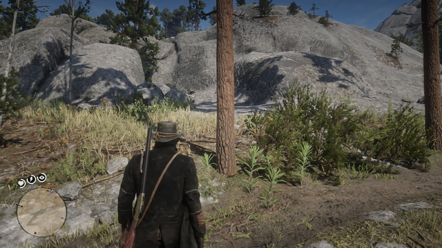 Detail Red Dead Redemption 2 Squirrel Statue Nomer 42