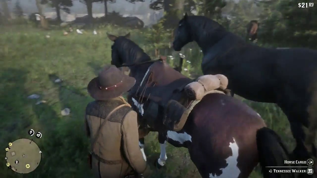 Download Red Dead Redemption 2 Store Outfits On Horse Nomer 6