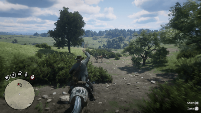 Detail Red Dead Redemption 2 Zebra Nomer 33