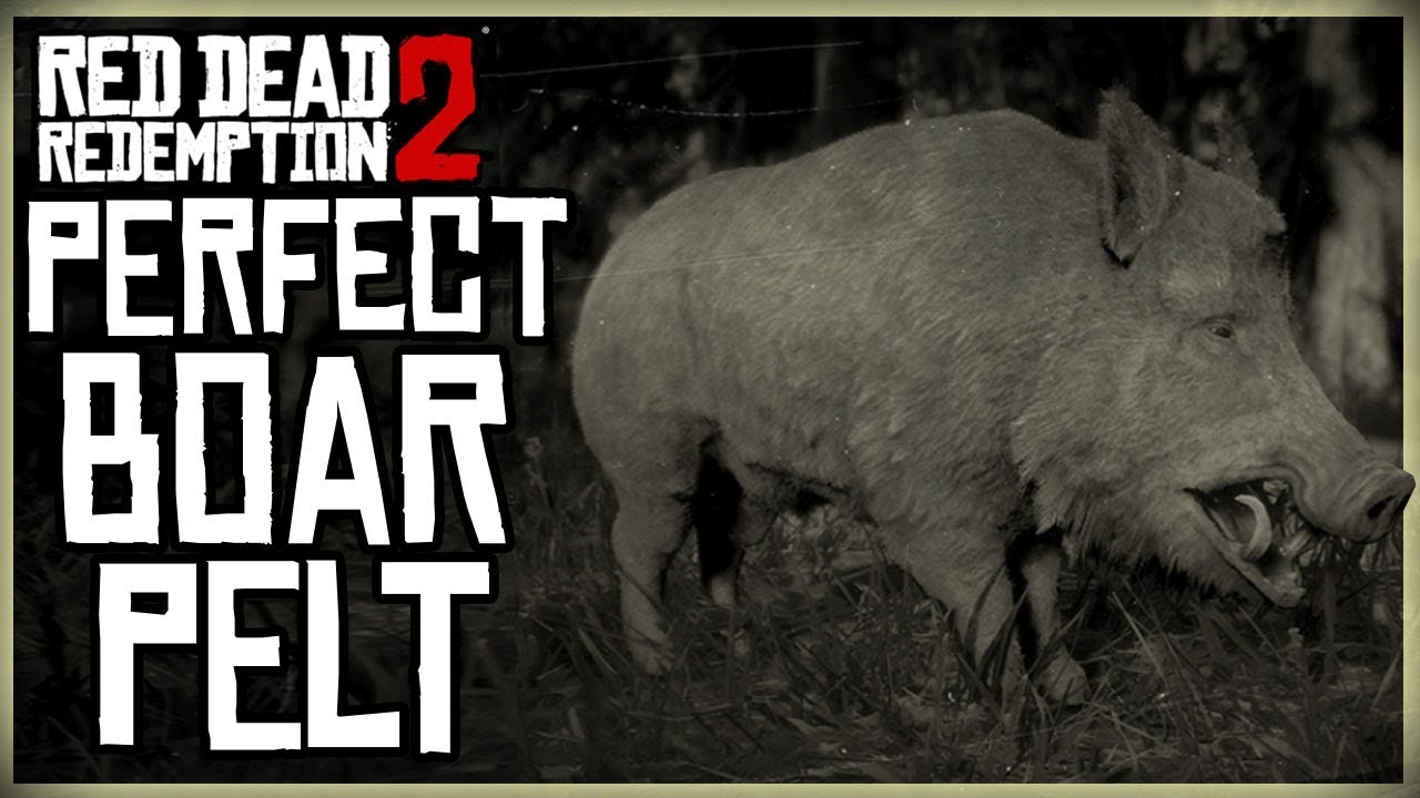 Detail Red Dead Redemption Boar Nomer 18