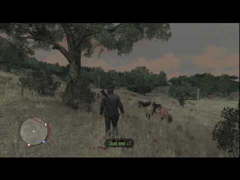 Detail Red Dead Redemption Where To Find Skunks Nomer 11