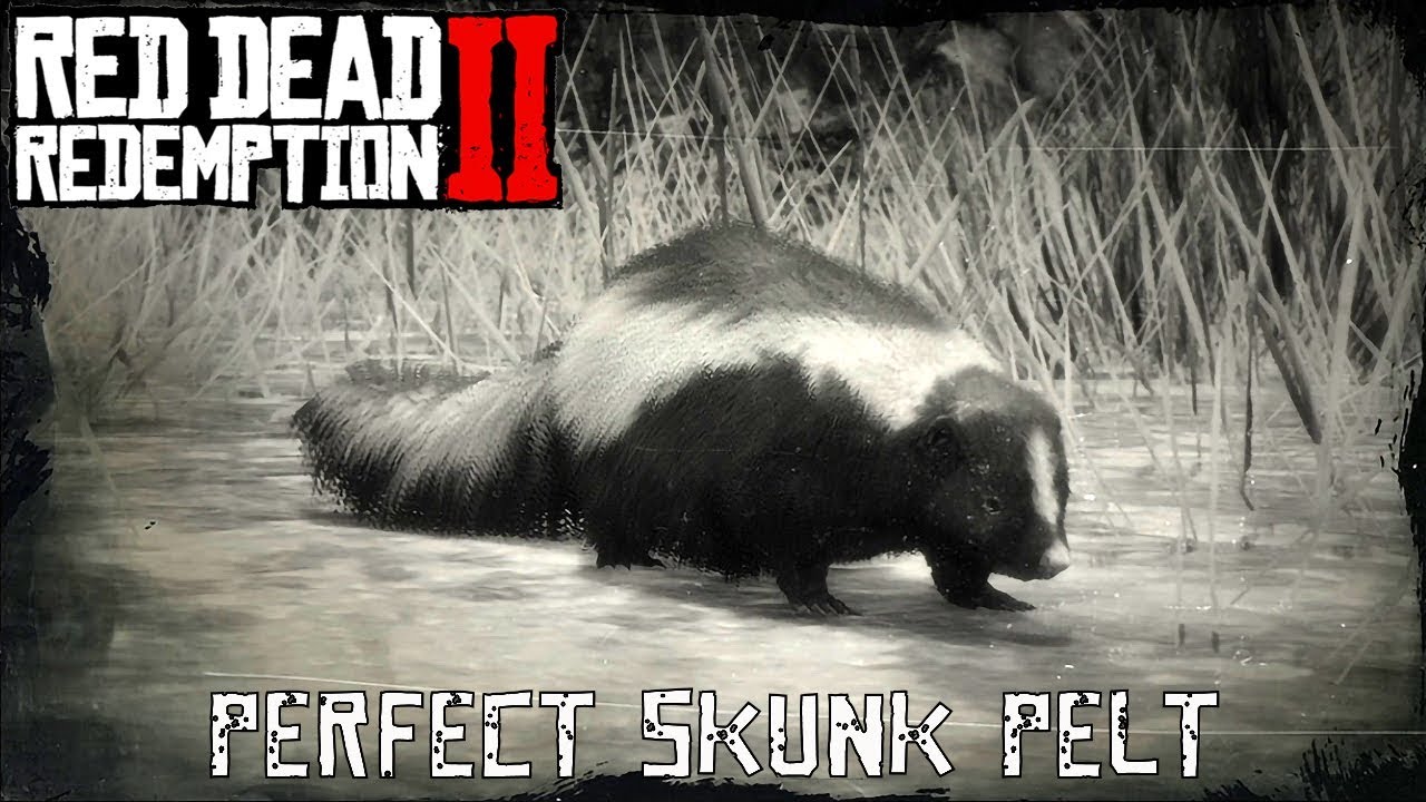 Detail Red Dead Redemption Where To Find Skunks Nomer 17