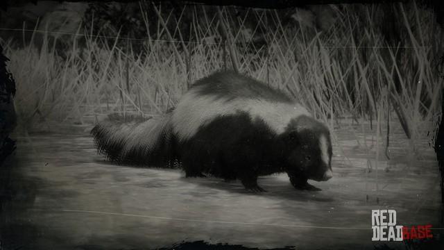 Detail Red Dead Redemption Where To Find Skunks Nomer 3