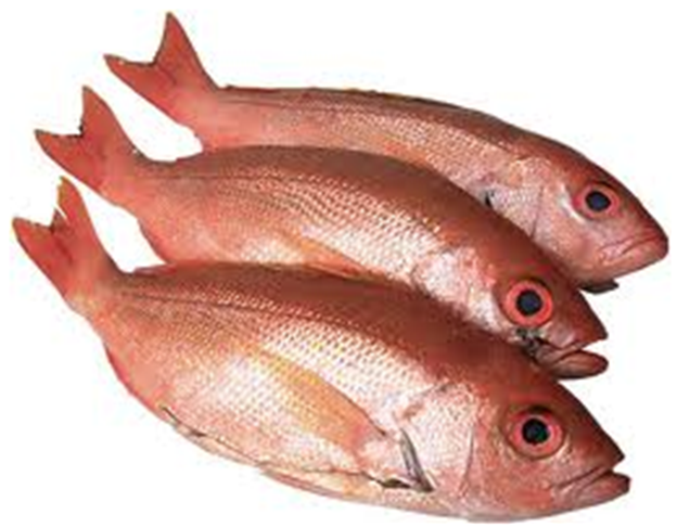 Detail Red Fish Png Nomer 16