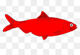 Detail Red Fish Png Nomer 35