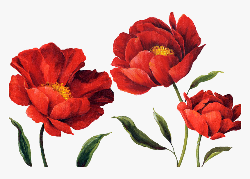 Detail Red Flower Watercolor Png Nomer 14