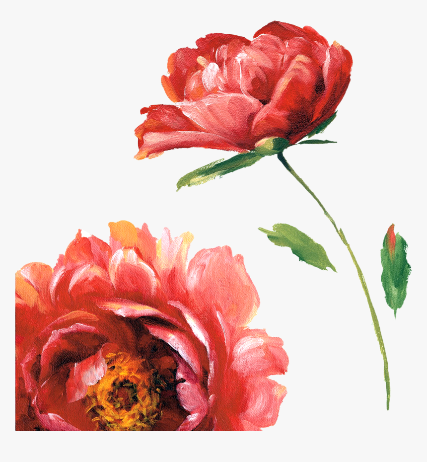 Detail Red Flower Watercolor Png Nomer 24