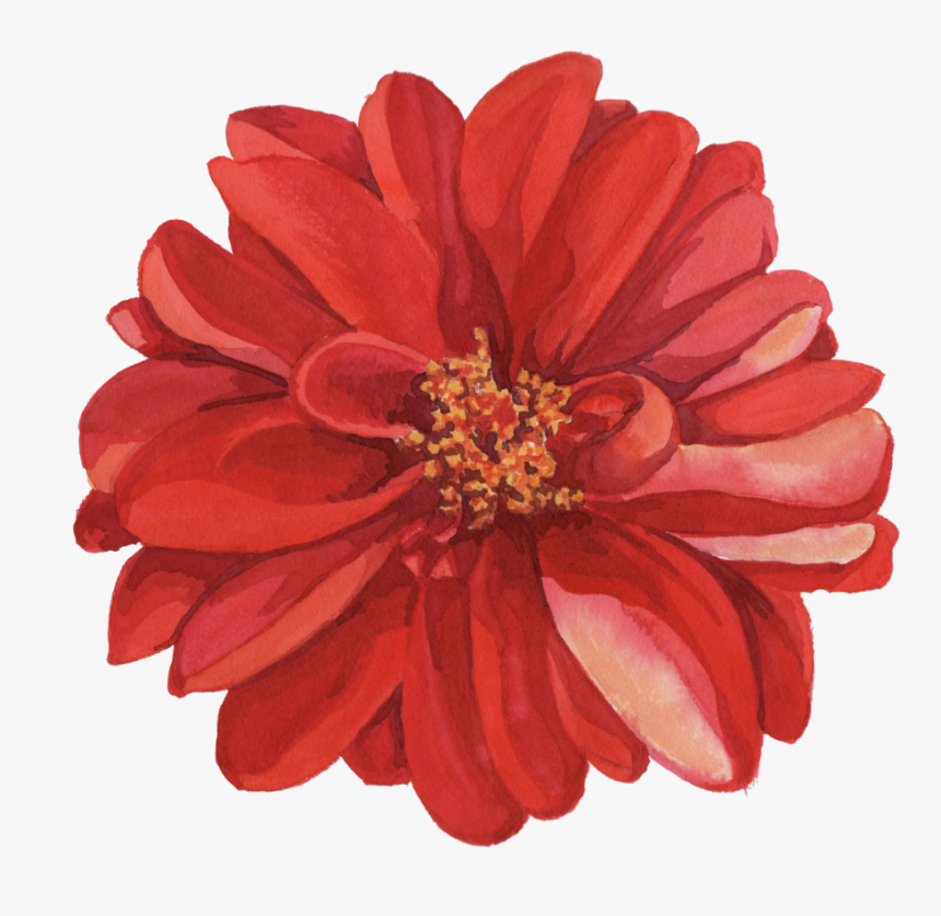 Detail Red Flower Watercolor Png Nomer 56