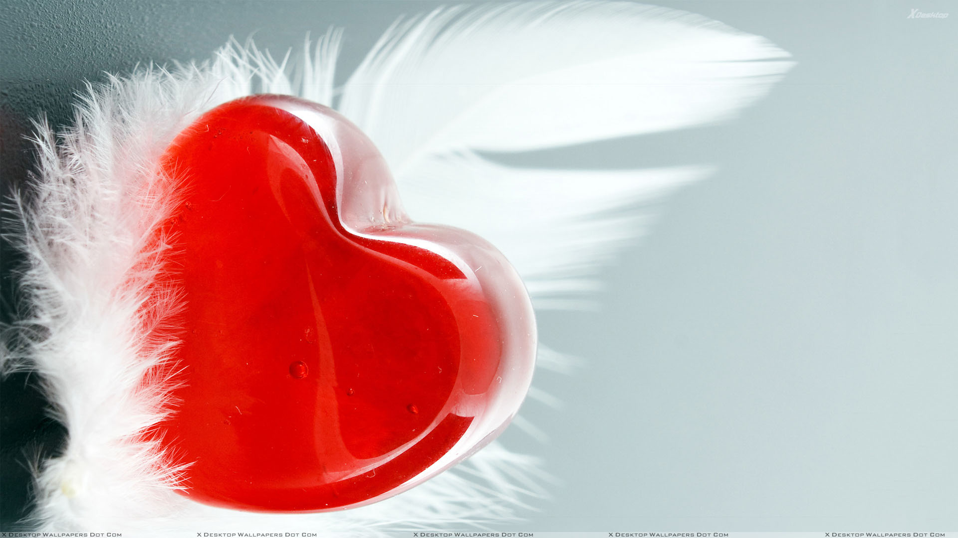 Detail Red Heart Images Download Nomer 16